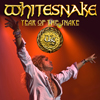Whitesnake