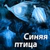 Синяя птица