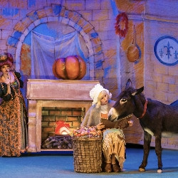 История хрустальной туфельки История хрустальной туфельки