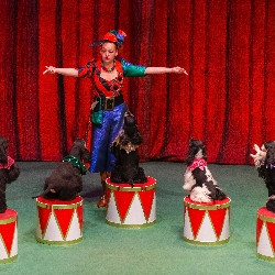 В гостях у дедушки Дурова В гостях у дедушки Дурова