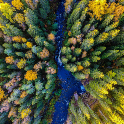 Лучшее в Карелии: водопады, лес, уха и музей в скале