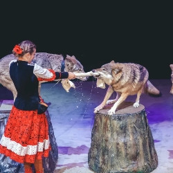 Необыкновенное путешествие Необыкновенное путешествие