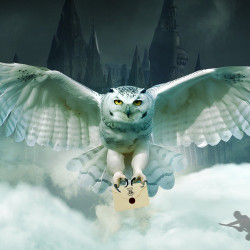 Симфония Гарри Поттер