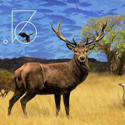 Чайка с продолжением Чайка с продолжением