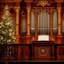 Орган и контратенор при свечах Орган и контратенор при свечах