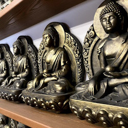 Таинственный мир Буддизма (с посещением храмового комплекса Тубден Шедублинг и астрологическим прогнозом от буддистского ламы, пешеходная) Таинственный мир Буддизма (с посещением храмового комплекса Тубден Шедублинг и астрологическим прогнозом от буддистского ламы, пешеходная)