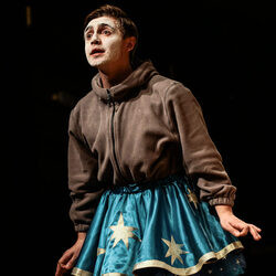 Двенадцатая ночь, или Как угодно