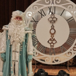 Главная елка-2026