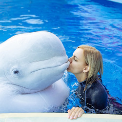 Плавание с китами