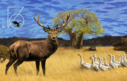 Чайка с продолжением Чайка с продолжением