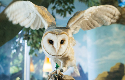 Зоопарк Зоопарк