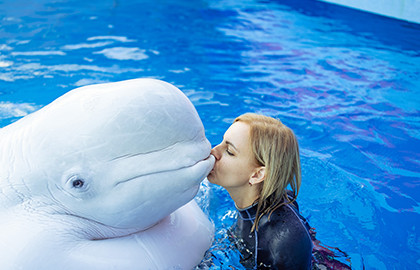 Плавание с китами Плавание с китами