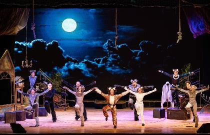 Мюзикл на чердаке Мюзикл на чердаке