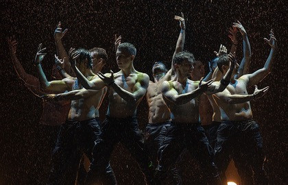 Признание в любви Признание в любви