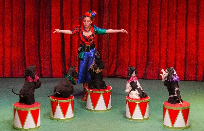 В гостях у дедушки Дурова В гостях у дедушки Дурова