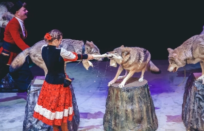 Необыкновенное путешествие Необыкновенное путешествие