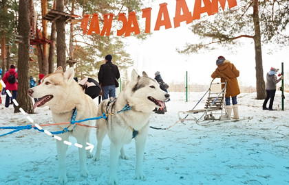 С хаски по дороге в сказку С хаски по дороге в сказку