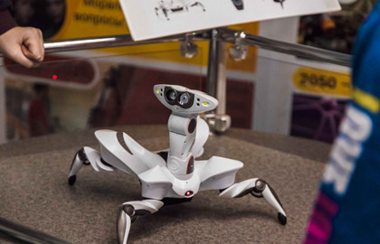 Познавайка Познавайка