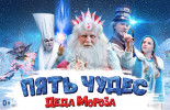 Тикетлэнд Новогодние Елки Тикетлэнд Новогодние Елки