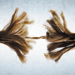 Scene from «Девочки»