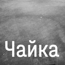 Scene from «Чайка»