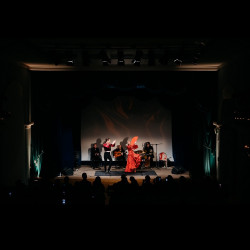 Танцевальное шоу. Фламенко Андалусии