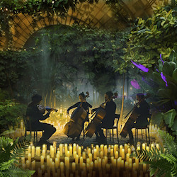 Магия свечей. От Баха до Beatles