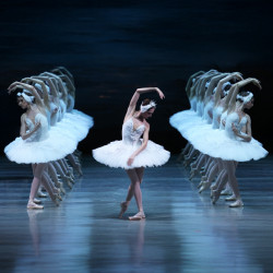 Лебединое озеро