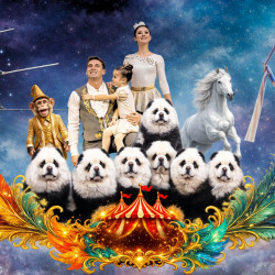 Цирк «София»