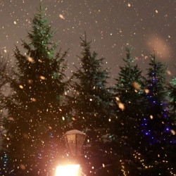 Снежная королева