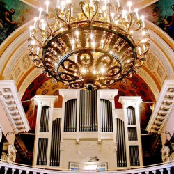 Вселенная - орган