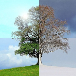 Времена года.  Вивальди. Пьяццолла