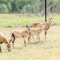 Обнимашки с живой природой