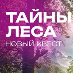 Квест «Тайны леса»