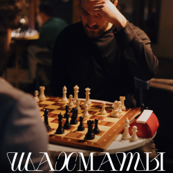 шахматы для начинающих