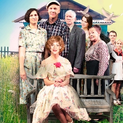 Cцена из «Любовь и голуби»