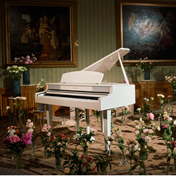 #В_Цветах: Шедевры классики