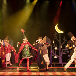 Фрося – ель обыкновенная