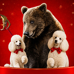 Каракат-шоу