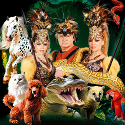 Цирк-шапито «Кудзинов»