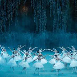 Новогодний концерт. П. И. Чайковский. Великие балеты