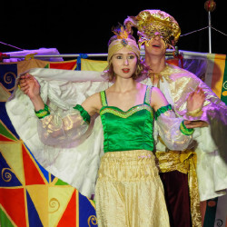 Принцесса и Золотая птичка