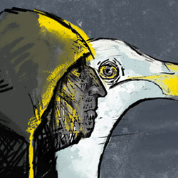 Чайка по имени...