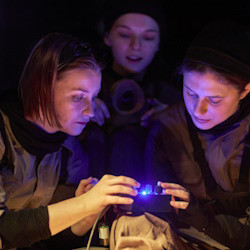 Scene from «Сон в русскую ночь»