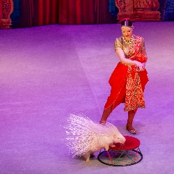 Вслед за старой сказкой