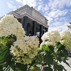 От библиотеки Ивана Грозного, до библиотеки Ленина (пешеходная экскурсия Древний Романов Двор + экскурсия по зданию Библиотеки им. В.И. Ленина с посещением читальных залов)