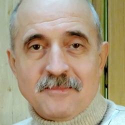 Владимир Иванович Подгородинский