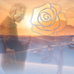 Sting «Desert rose symphony»