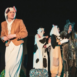 Гадкий котёнок