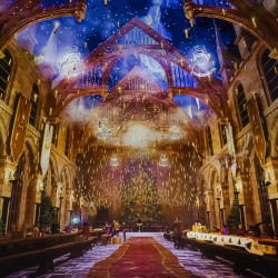 Гарри Поттер